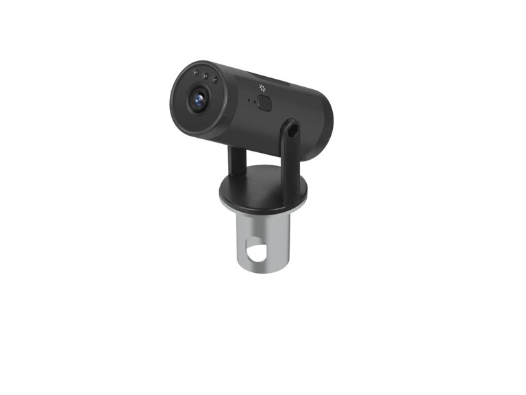 Chimney brush camera